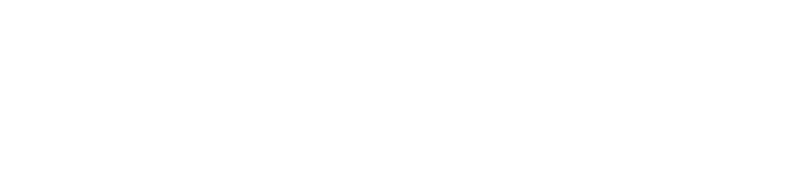 SHADOW Logo