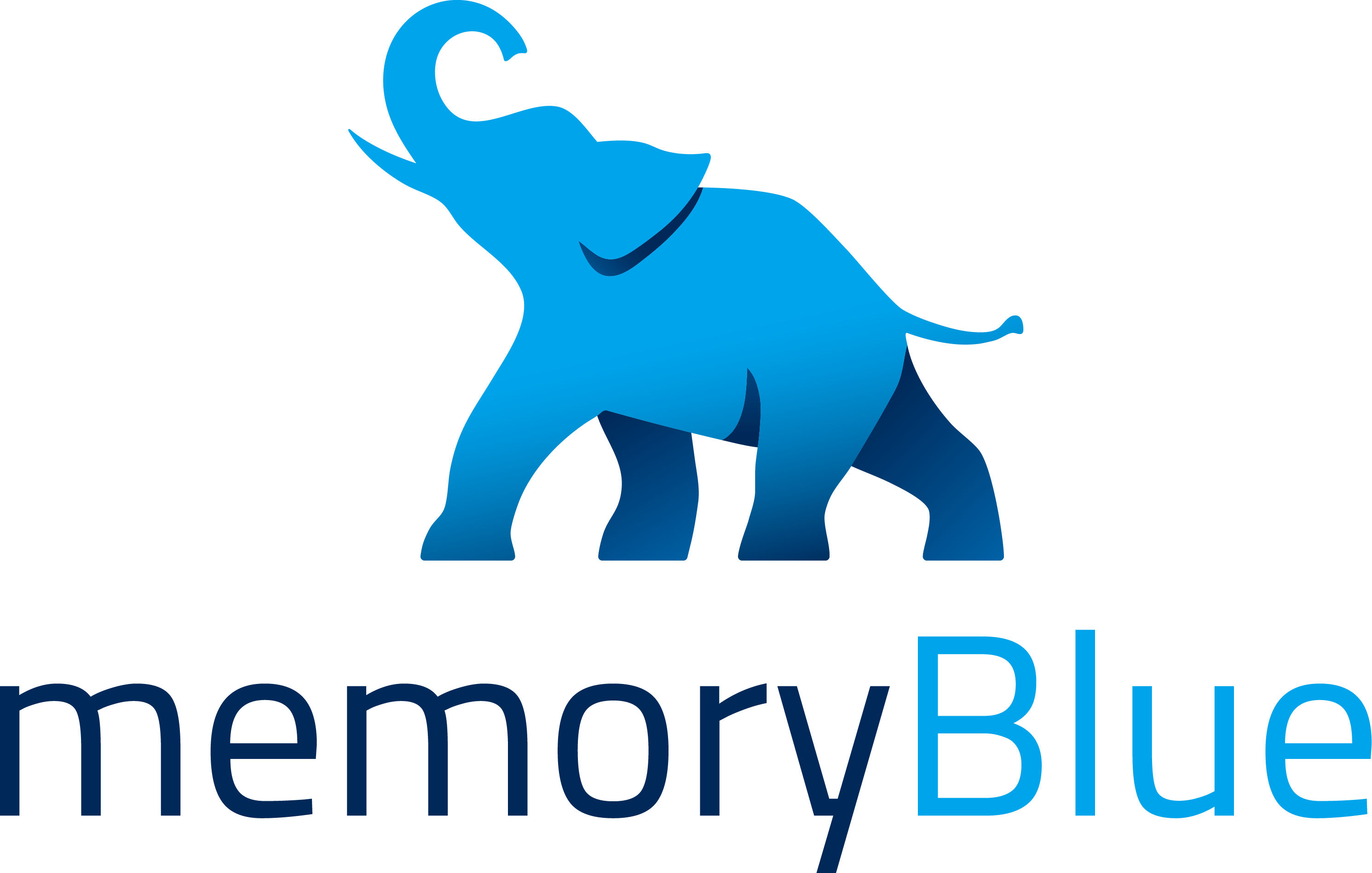 memoryBlue Logo