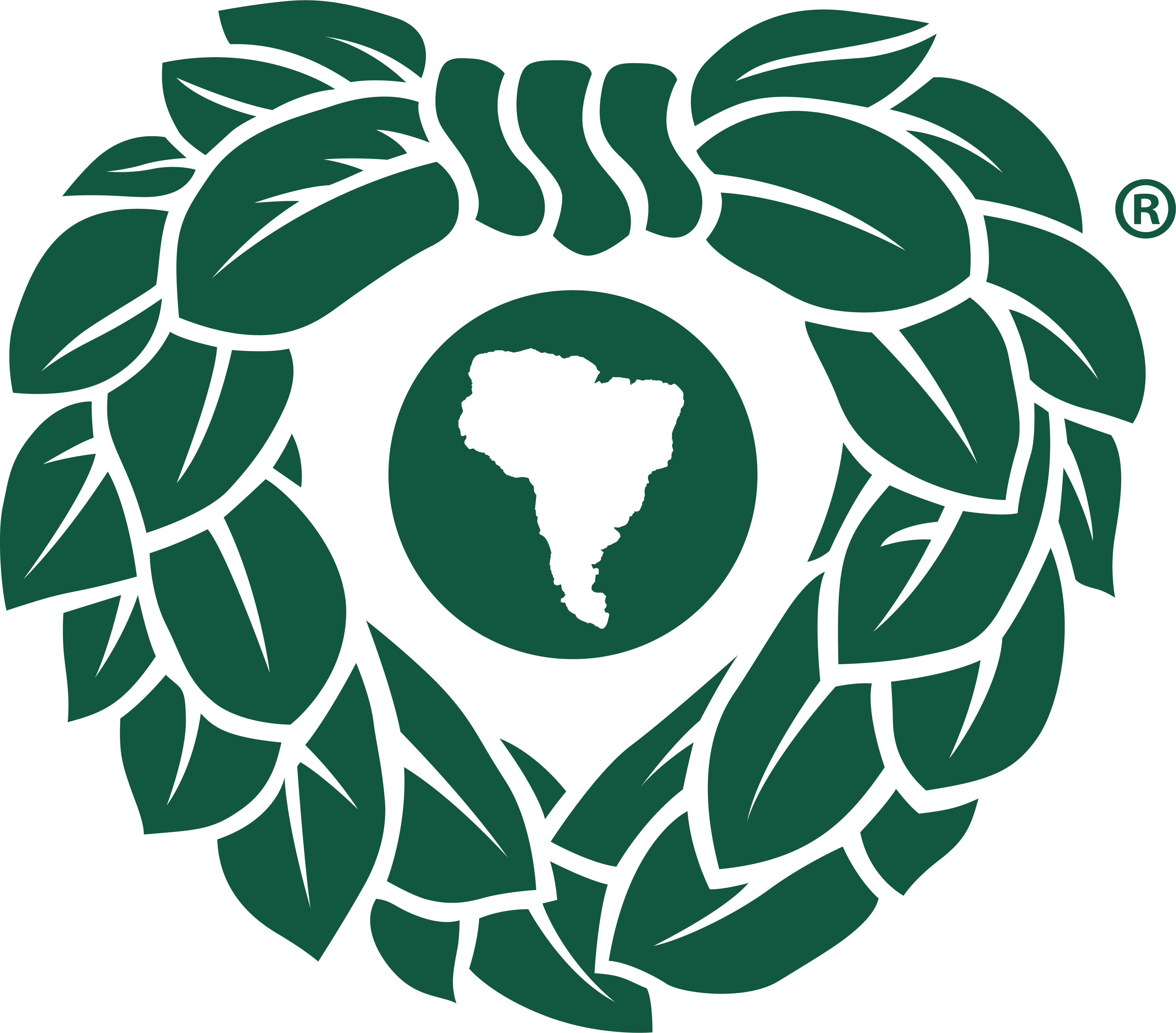 Yerba Madre Logo