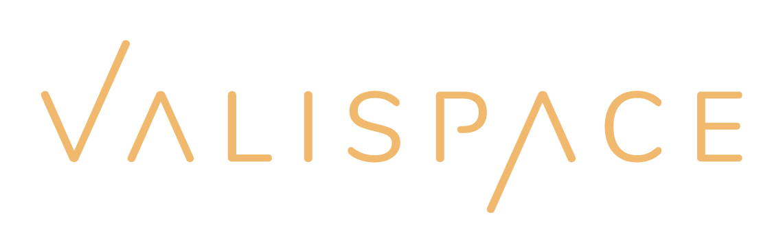 Valispace Logo